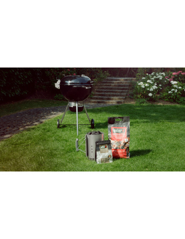 WEBER MasterTouch Premium E-5775 GBS