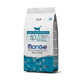 MONGE-KITTEN 1-12 MESI