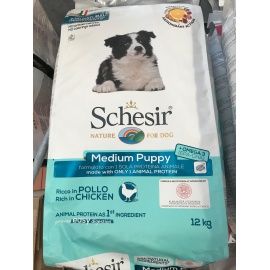 SCHESIR PUPPY