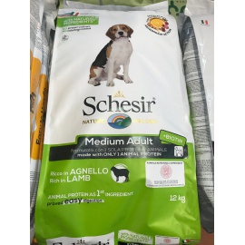 SCHESIR ADULT AGNELLO