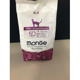 MONGE ADULT CAT 