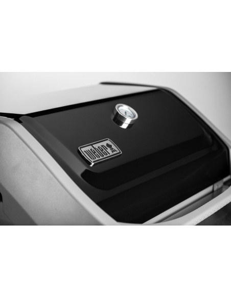 WEBER SPIRIT II E-210 GBS