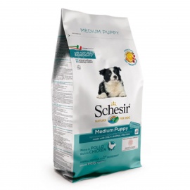 SCHESIR PUPPY