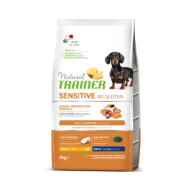 TRAINER SALMONE