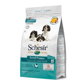 SCHESIR PUPPY