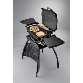 WEBER Q2200 CON STAND 2