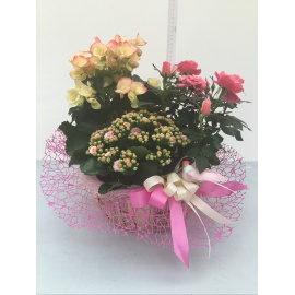 COMPOSIZIONE DI PIANTE FIORITE MISTE CON CESTINO