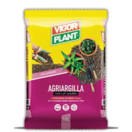 VIGOR PLANT ARGILLA 10 LT