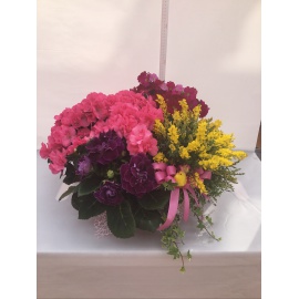 COMPOSIZIONE DI PIANTE FIORITE CON CESTINO