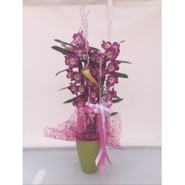 DENDROBIUM CONFEZIONATO CON CASPO’ IN CERAMICA 