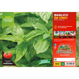 BASILICO ITALIANO VARIETA' DA VINCI 