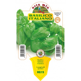 BASILICO ITALIANO CLASSICO VARIETA' GEMMA 