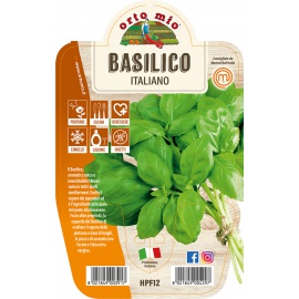 BASILICO ITALIANO CLASSICO VARIETA' GEMMA