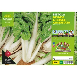 BIETOLA BIONDA A COSTA ARGENTATA