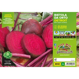 BIETOLA ROSSA DETROIT VARIETA' MONETA 