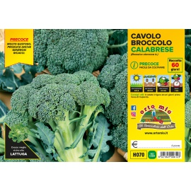CAVOLO BROCCOLO CALABRESE PRECOCE VARIETA' HERAKLION 