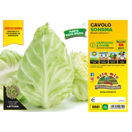 CAVOLO CAPPUCCIO CUOR DI BUE PRECOCE VARIETA' SONSMA