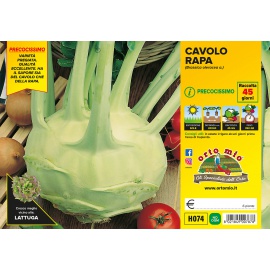 CAVOLO RAPA BIANCO E VIOLETTO 