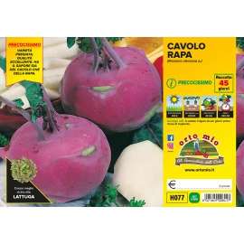 CAVOLO RAPA VIOLETTO 
