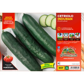 CETRIOLO DIGERIBILE VARIETA' INDURAN 