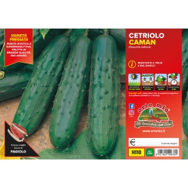 CETRIOLO CLASSICO VARIETA' CAMAN