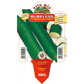 CETRIOLO LUNGO DIGERIBILE VARIETA' BURPLESS 