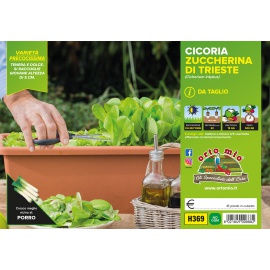 CICORIA E RADICCHIO DA TAGLIO VARIETA' ZUCCHERINA DI TRIESTE 
