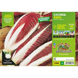 CICORIA O RADICCHIO ROSSO DI TREVISO PRECOCE VARIETA' ZERO 