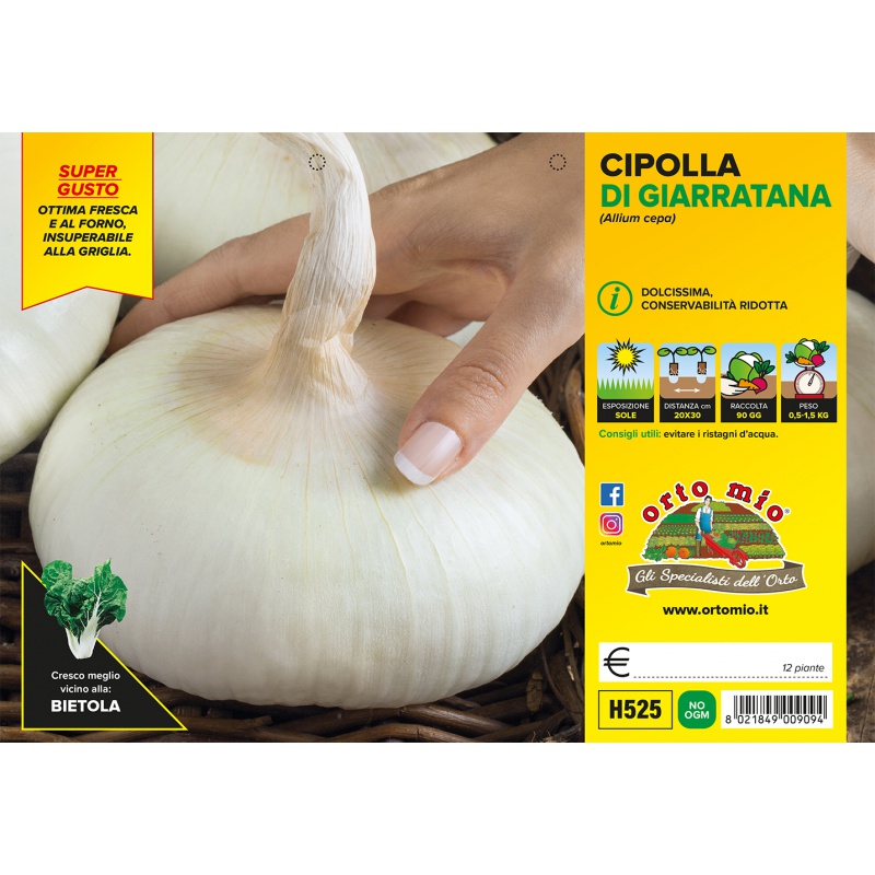CIPOLLA GIGANTE DI GIARRATANA H525 Bardin Gardencenter