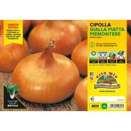 CIPOLLA PIATTA PIEMONTESE ''PIATLINA''