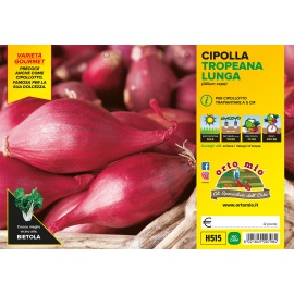 CIPOLLA TROPEA ROSSA LUNGA 