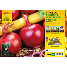 CIPOLLA ROSSA DI FIRENZE O ''TOSCANA'' H500