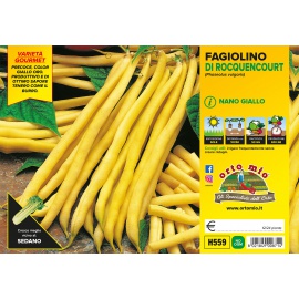 FAGIOLINO NANO GIALLO