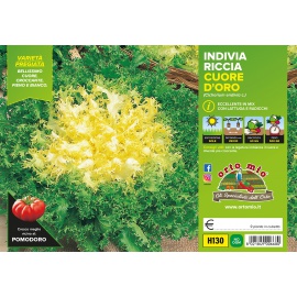 INVDIA RICCIA A CUORE D'ORO 