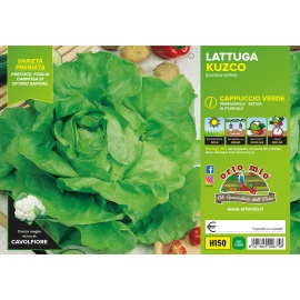 LATTUGA VERDE PRIMAVERILE-ESTIVA 