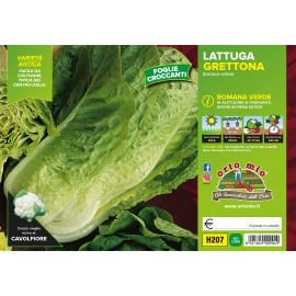 LATTUGA ROMANA GRETTONA 