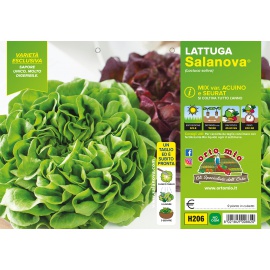 LATTUGA SALANOVA MIX A FOGLIA LISCIA 