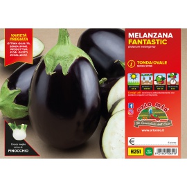 MELANZANA OVALE 