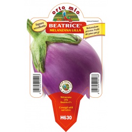 MELANZANA LILLA