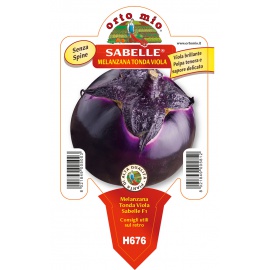 MELANZANA VIOLETTA 