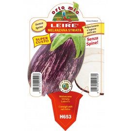 MELANZANA STRIATA 