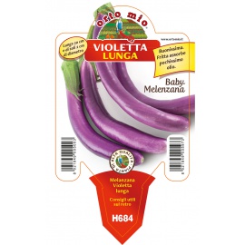 MELANZANA BABY VARIETA' VIOLETTA LUNGA
