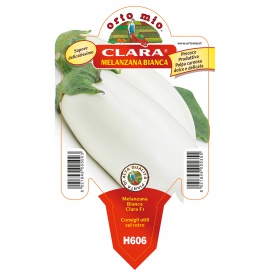 MELANZANA BIANCA 