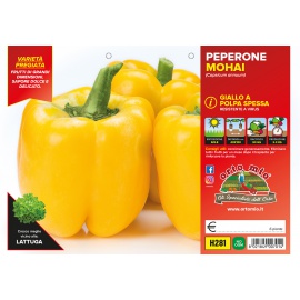 PEPERONE GIALLO