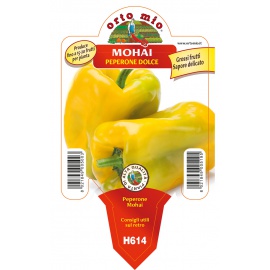 PEPERONE GIALLO