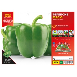 PEPERONE VERDE