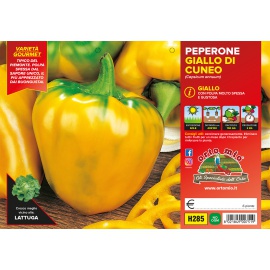 PEPERONE GIALLO DI CUNEO