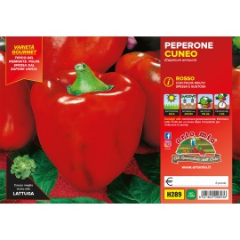 PEPERONE ROSSO DI CUNEO