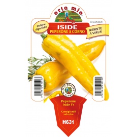 PEPERONE CORNO GIALLO