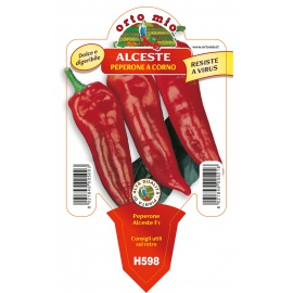 PEPERONE CORNO ROSSO